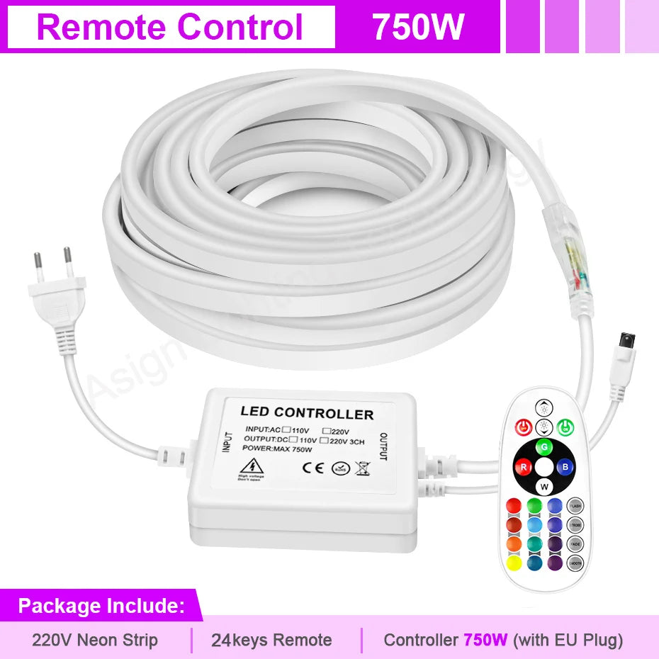 Tira LED Neon 220V RGB 1-100m - Exterior IP67 WiFi Tuya
