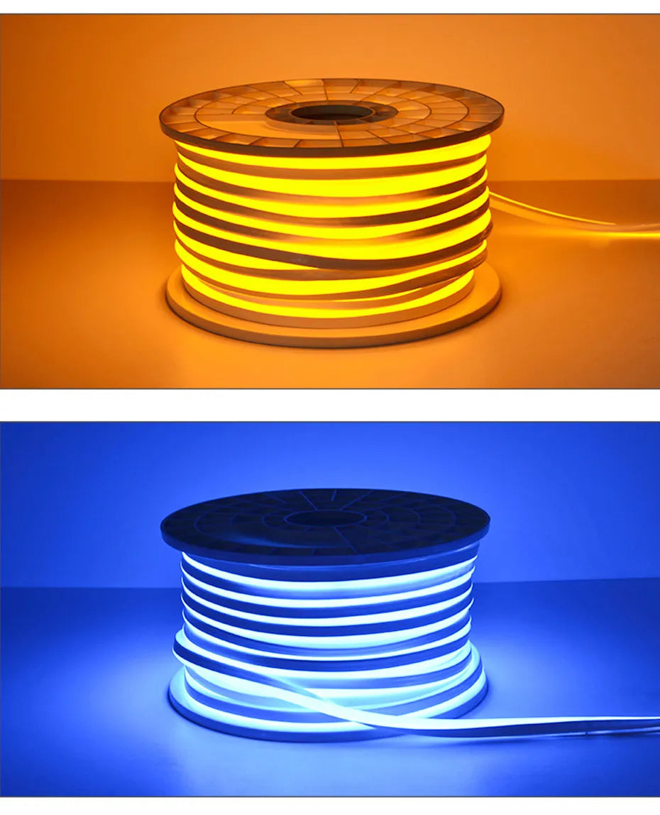 Tira LED Neon 220V RGB 1-100m - Exterior IP67 WiFi Tuya