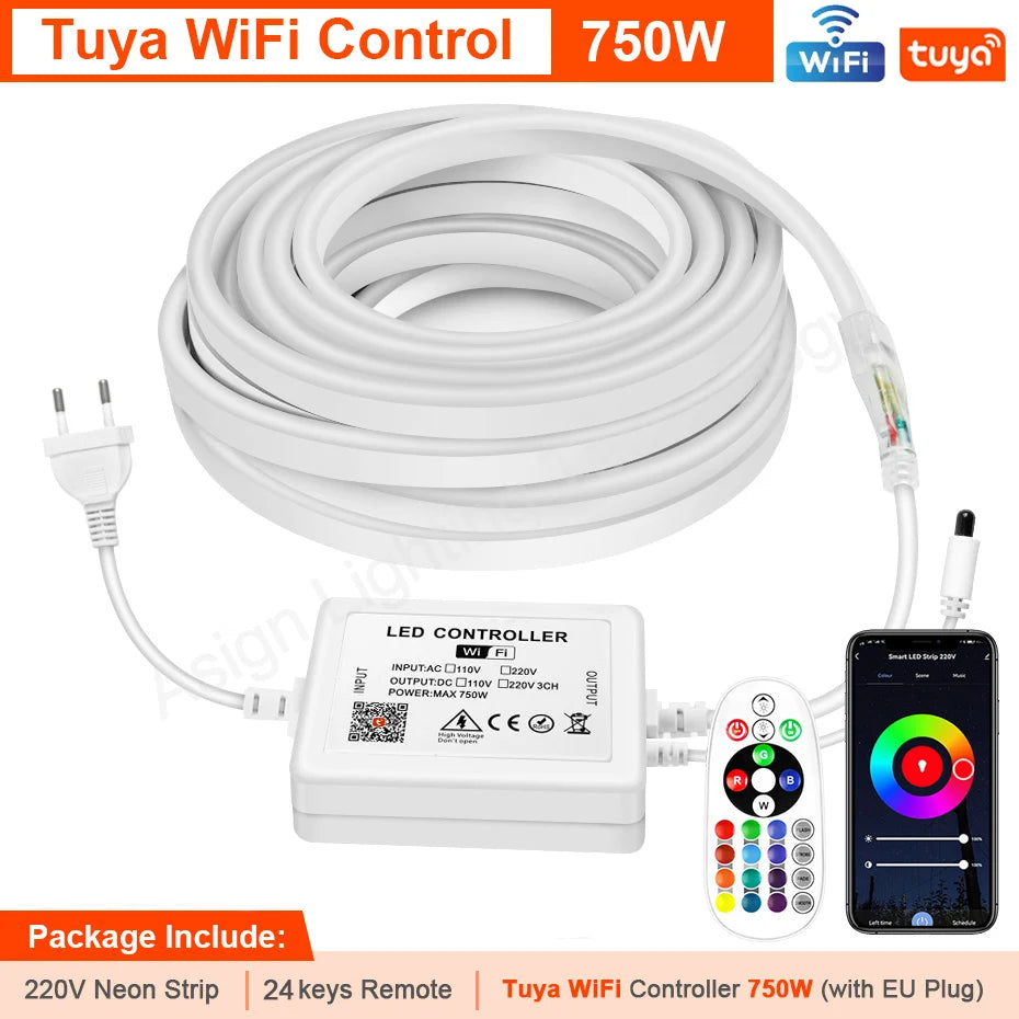 Tira LED Neon 220V RGB 1-100m - Exterior IP67 WiFi Tuya
