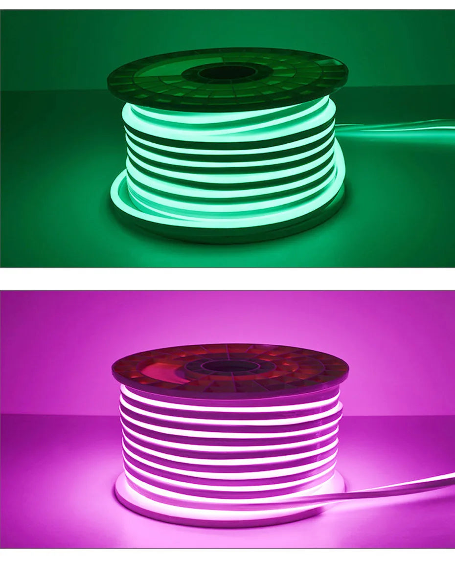 Tira LED Neon 220V RGB 1-100m - Exterior IP67 WiFi Tuya