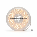 Tira LED 2835 10m